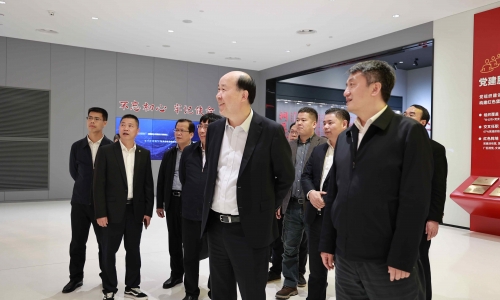 广西壮族自治区河池市委副书记、市长王军莅临尊龙凯时人生就是搏调研