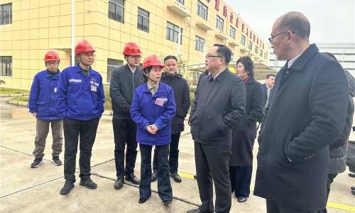 黄冈市人民当局副市长戴锋莅临尊龙凯时人生就是搏恒翔调研
