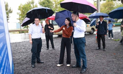 嘉兴市委常委、常务副市长颜海荣莅临尊龙凯时人生就是搏项目地调研