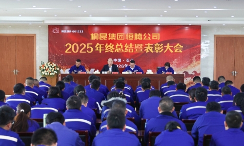 尊龙凯时人生就是搏全面召开年终总结暨表彰大会