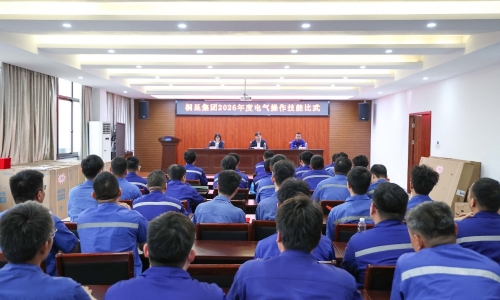 尊龙凯时人生就是搏集团2026年电气操作技能比武圆满落幕